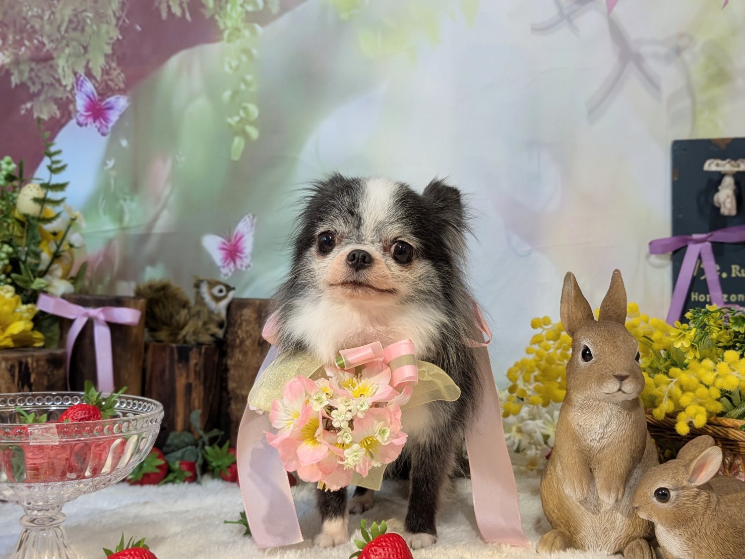 4月8日(水)のお客様