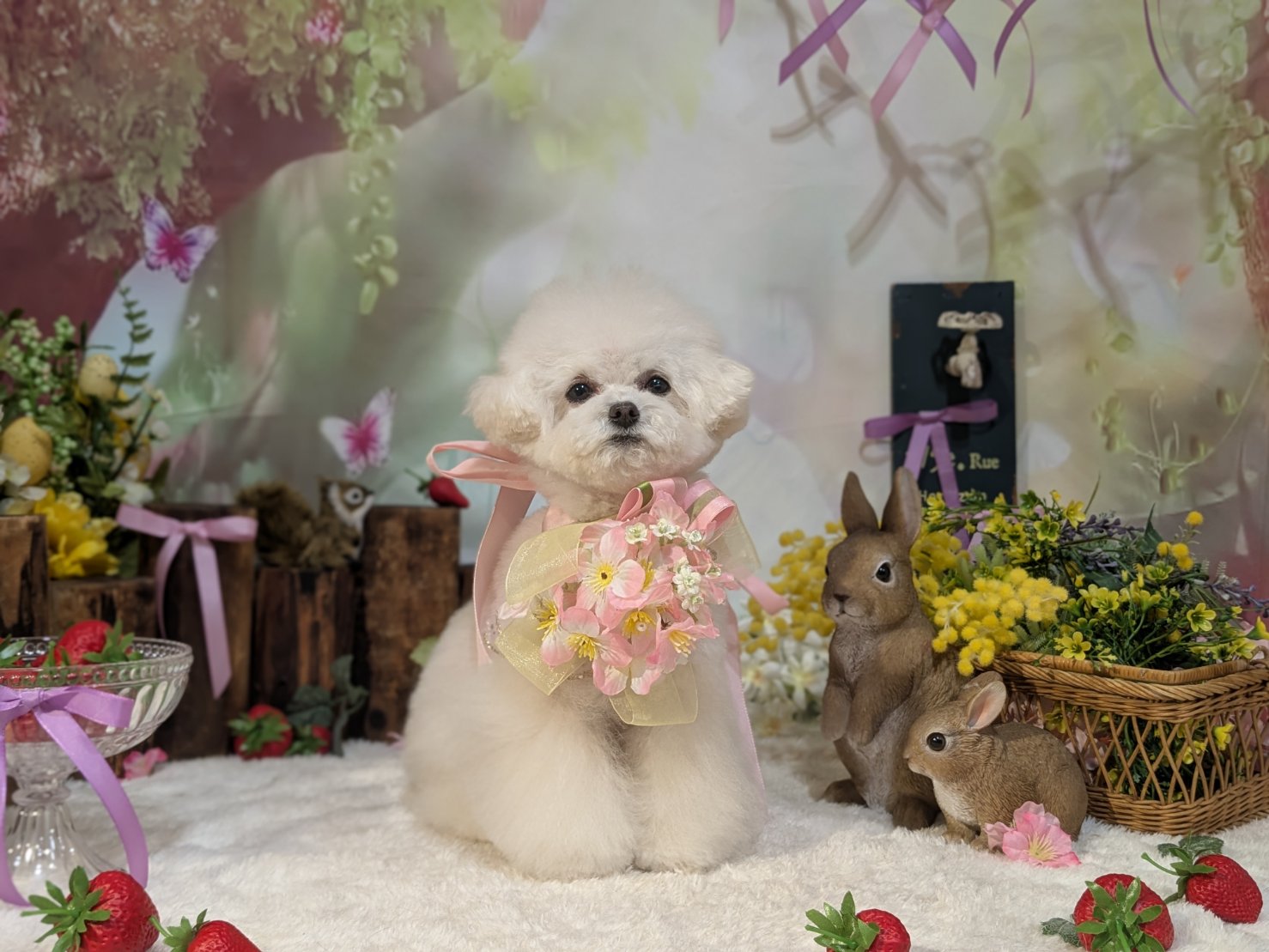 4月9日(木)のお客様