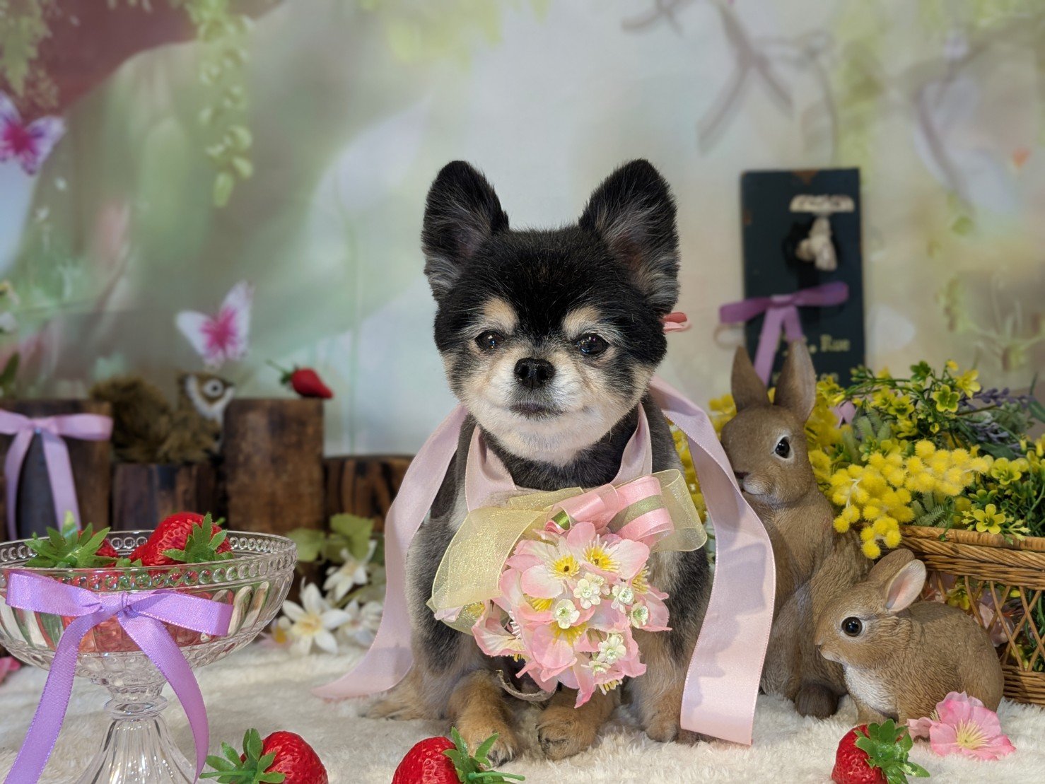 4月10日(金)のお客様