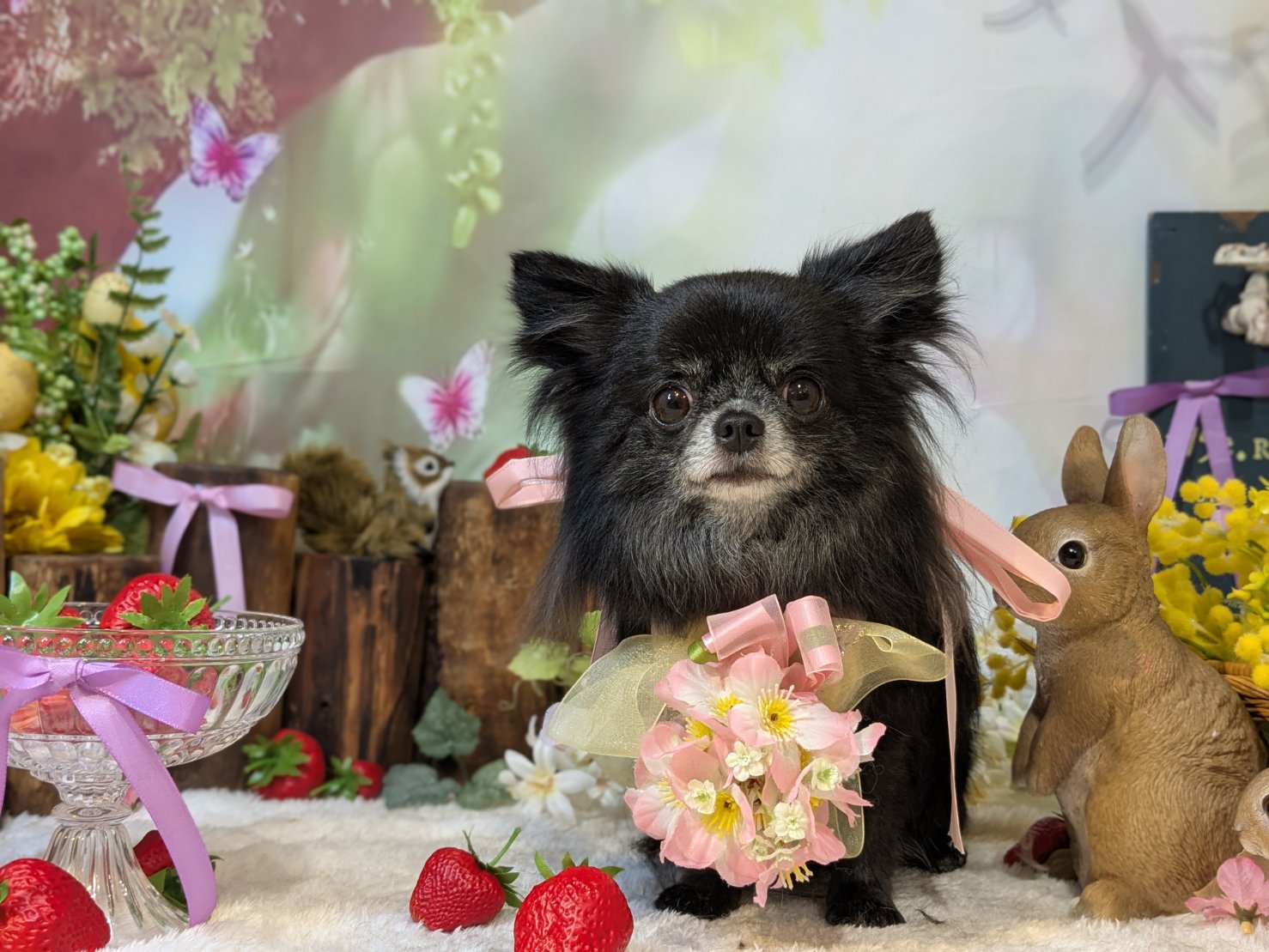 4月11日(土)のお客様