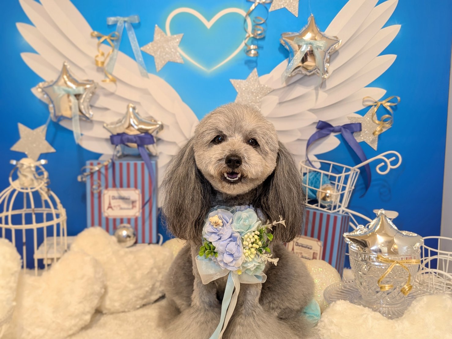 3月27日(金)のお客様